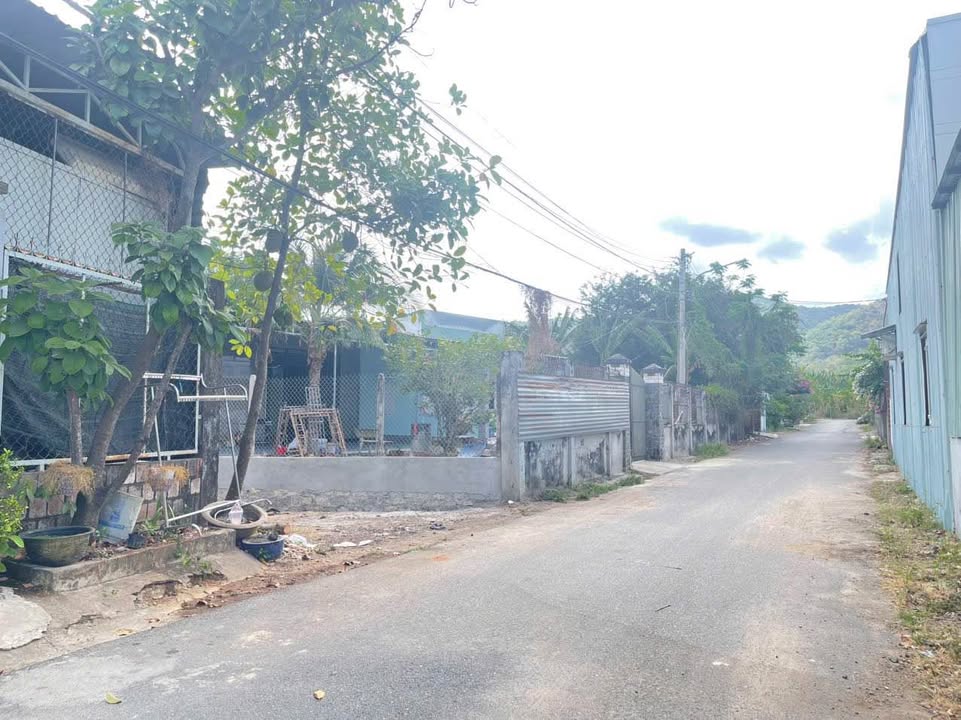 Lô đất 125m² đường 25, phường Tân Hưng - Giá 1.55 tỷ, thương lượng ngay!