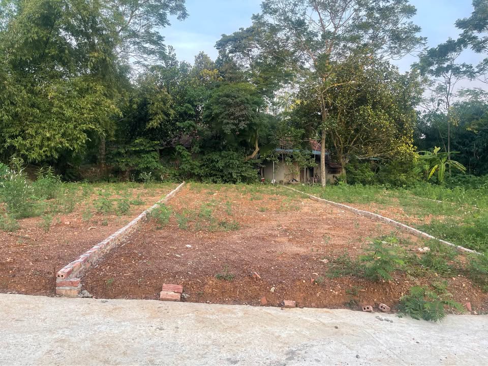 Lô đất 109m² tại Khu 4 Thanh Đình, Việt Trì - Giá chỉ 600 triệu, đầu tư sinh lời!