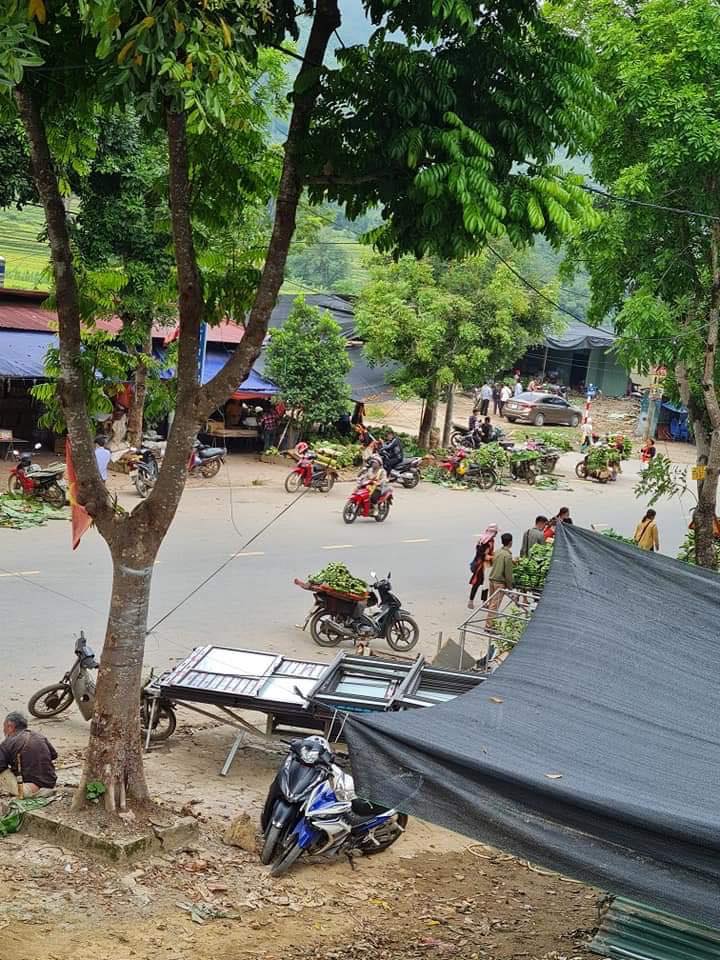 Đất thổ cư mặt tiền đẹp tại xã Phong Thổ, Lai Châu 174m² giá 700 triệu - Đầu tư sinh lời ngay!