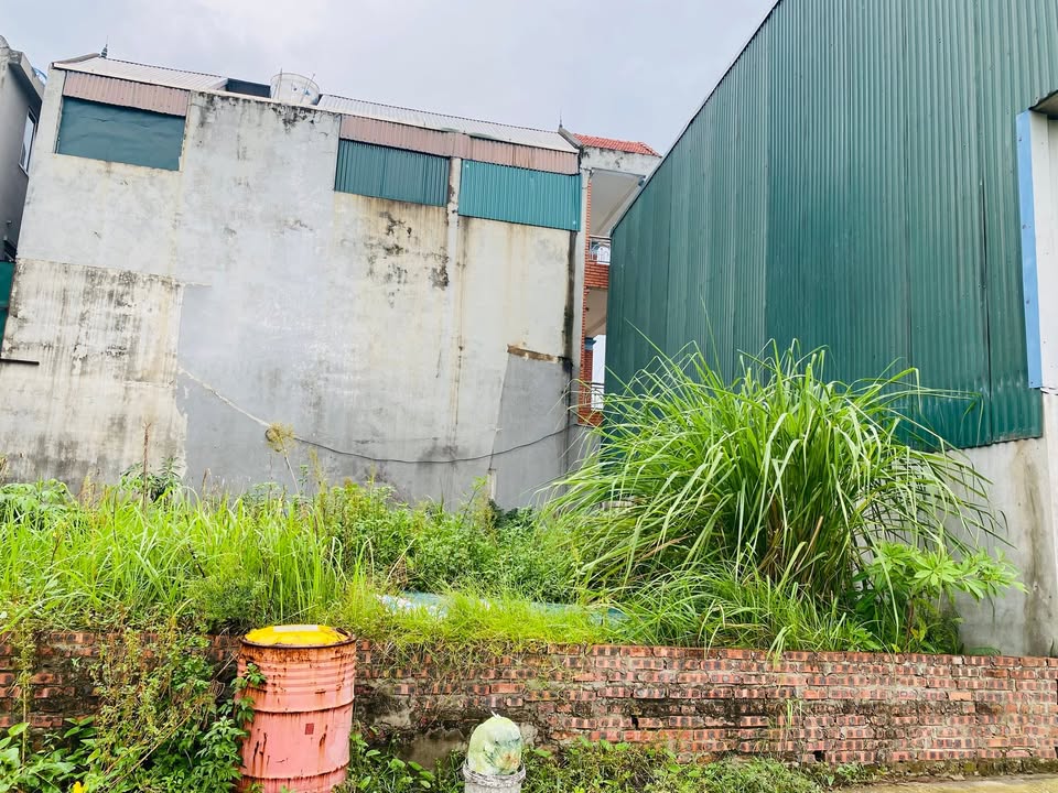 Đất nền Dục Tú 59m² giá thỏa thuận - Tiềm năng tăng giá mạnh!