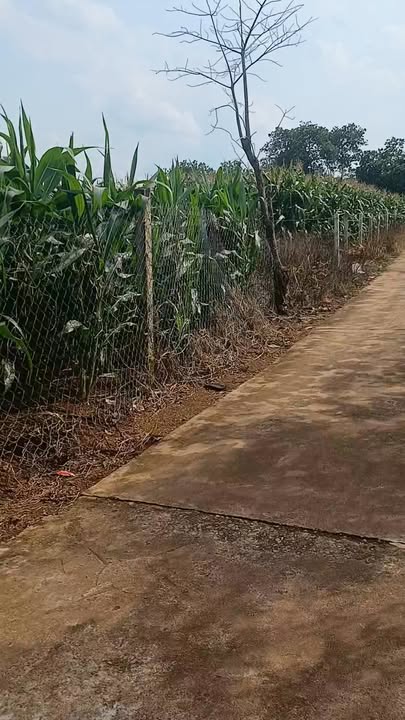 Đất nền Lâm San, Cẩm Mỹ 2644m² chỉ 840 triệu - Cơ hội đầu tư hấp dẫn!