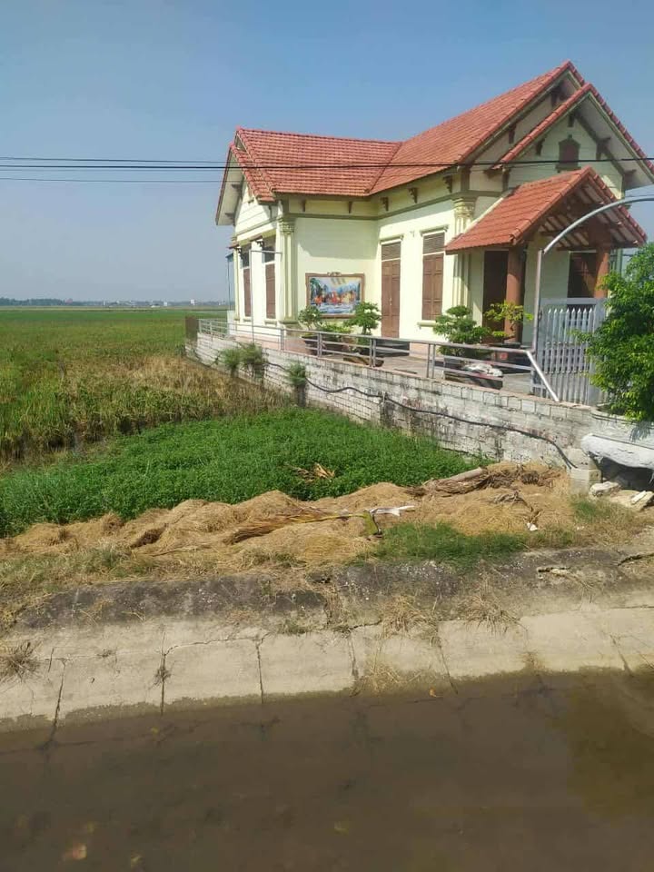 Đất nền đường Nga An, Nga Sơn 120m² giá 500 triệu - Cơ hội vàng đầu tư!