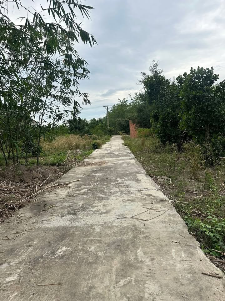 Đất nền 15m² phường Minh Long, Chơn Thành chỉ 580 triệu - Cơ hội đầu tư tuyệt vời!