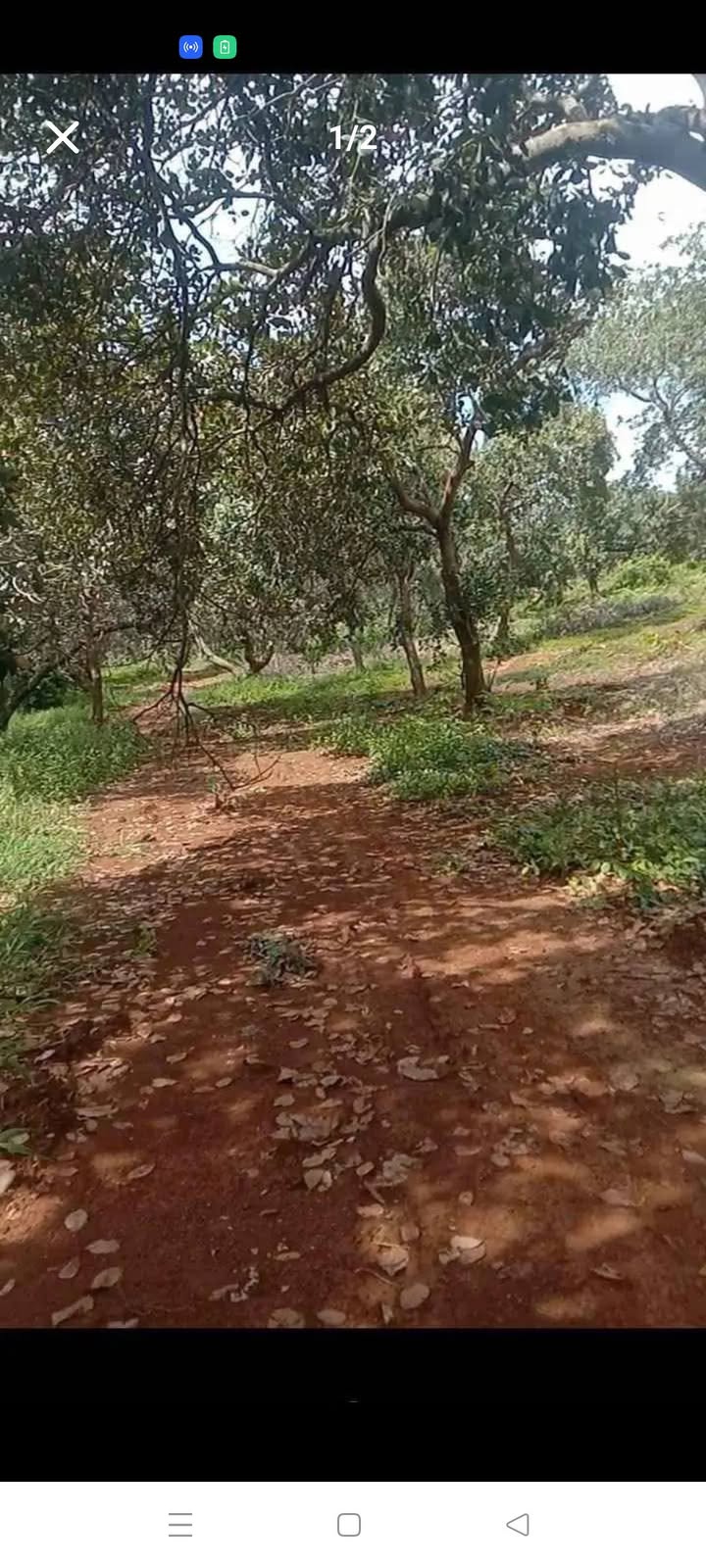 Đất nền xã Tân Hưng, huyện Đồng Phú 30.000m² giá 3 tỷ - Cơ hội đầu tư hấp dẫn!