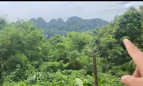 Đất thổ cư 700m² tại xã Liên Sơn, Hòa Bình - Giá thỏa thuận cực hấp dẫn!