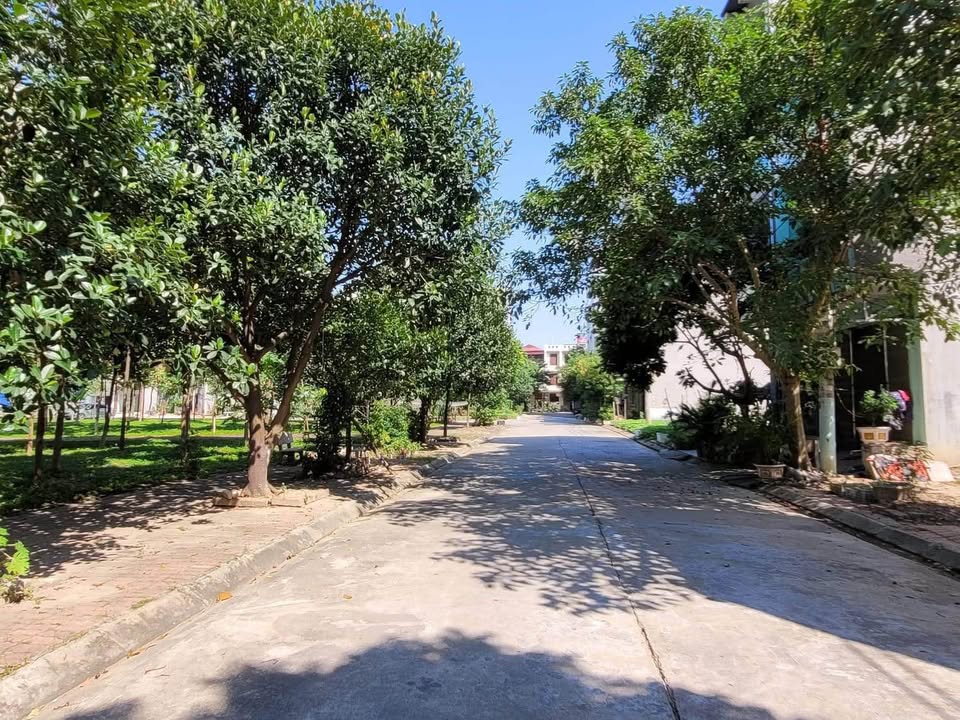 Đất nền Đồng Quán, P. Võ Cường 70.2m² giá 7 tỷ - Vị trí đắc địa, pháp lý rõ ràng!