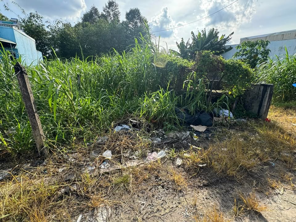 Đất thổ cư 78m² tại xã Tân Thạnh Đông, Củ Chi - Giá 1.55 tỷ, bớt lộc!