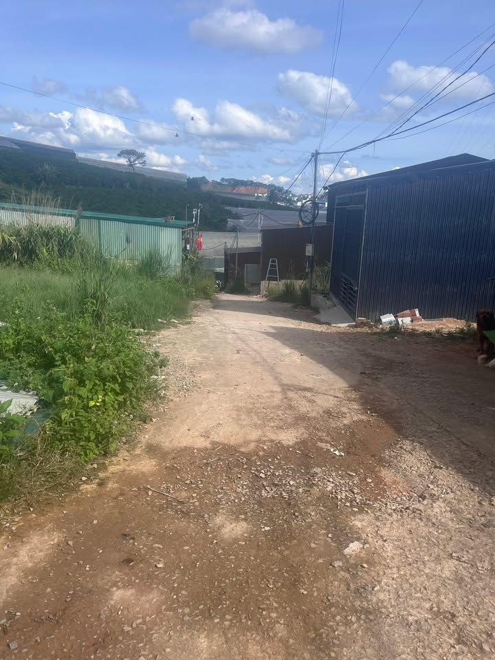 Đất nền phường Lang Biang Đà Lạt 100m² chỉ 500 triệu - Tiềm năng đầu tư lớn!