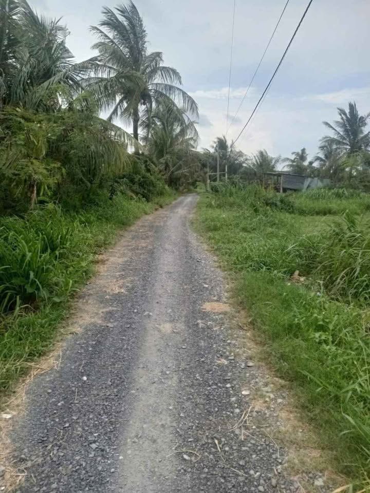 Đất nền Mỹ Chánh, Ba Tri, Bến Tre 2000m² giá 245 triệu - Đường rộng, tiện ích đầy đủ!