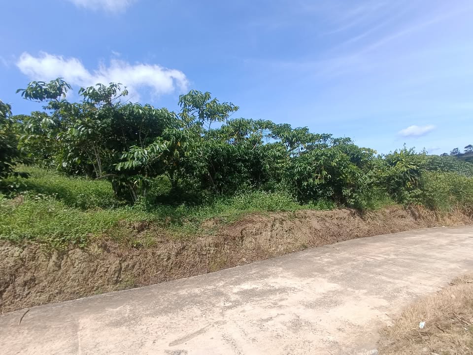 Đất nền 2000m² Lạc Long Quân, Bảo Lộc giá 2.4 tỷ - Sổ đỏ chính chủ, view đẹp!