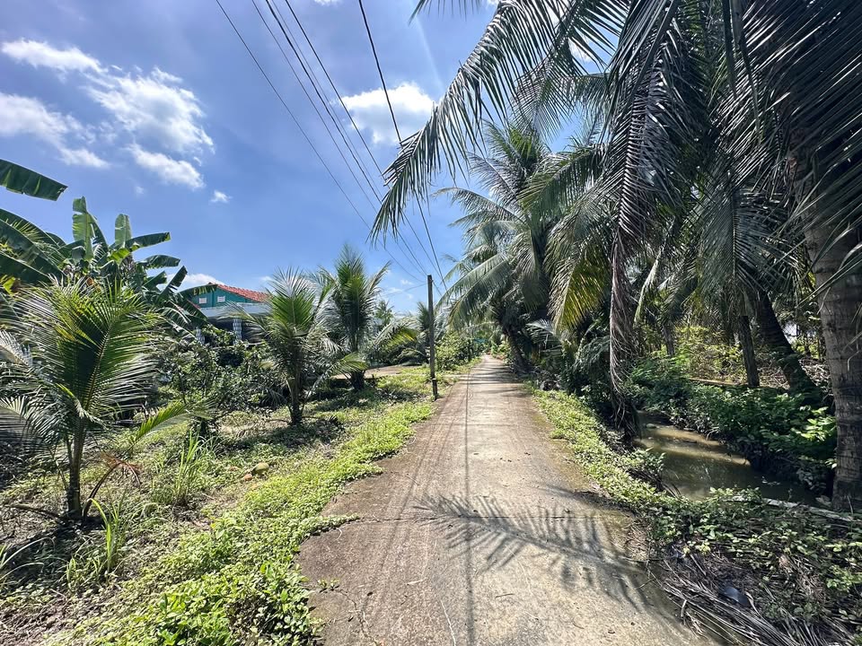 Đất vườn 800m² Mỹ Phong, TP. Mỹ Tho giá chỉ 960 triệu - Đầu tư sinh lời!