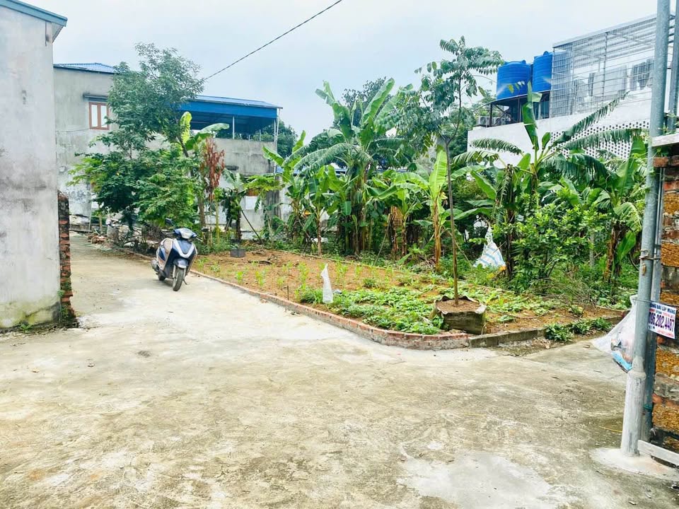 Đất ở nông thôn Tân Xã, Thạch Thất 84.7m² giá 3.388 tỷ - Tiềm năng tăng giá cao!