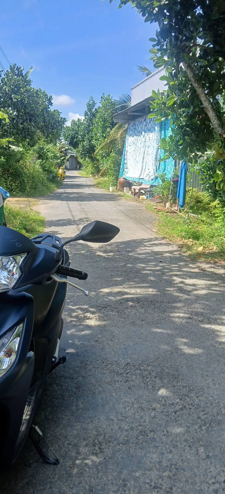 Đất thổ cư đường Nguyễn Văn Dinh, phường Mỹ Trà, 357,9m² giá 3 tỷ - Cơ hội đầu tư tuyệt vời!