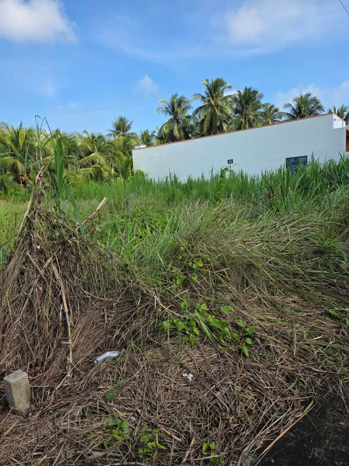 Đất nền Đạo Thạnh, Mỹ Tho 115m² giá 1.2 tỷ - Hướng Đông, thương lượng tốt!