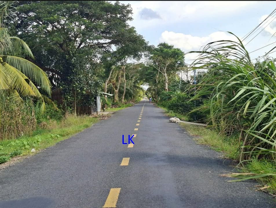 Đất nền 200m² tại xã Tân Hội Trung, giá 480 triệu - Cơ hội đầu tư hấp dẫn!