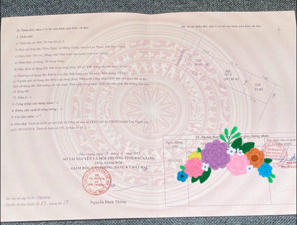 Đất nền Tổ dân phố Ngọt, phường Chũ, Bắc Giang 181m² - Giá chỉ vài trăm triệu!