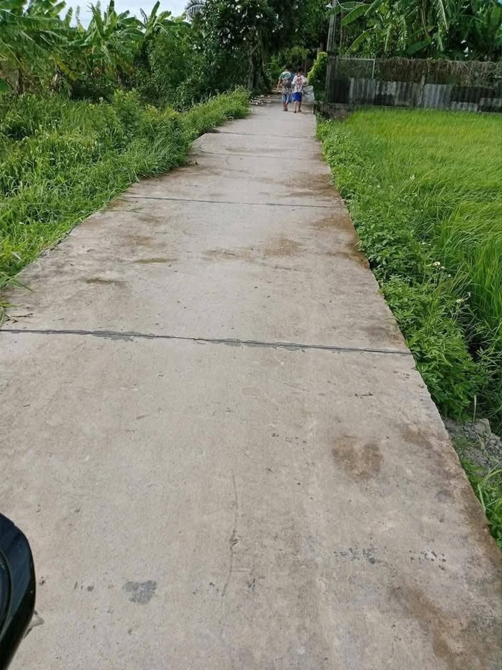 Đất lúa 1054m² Phường 4, Tân An - Giá chỉ 2.2 tỷ VND, đầu tư sinh lời!