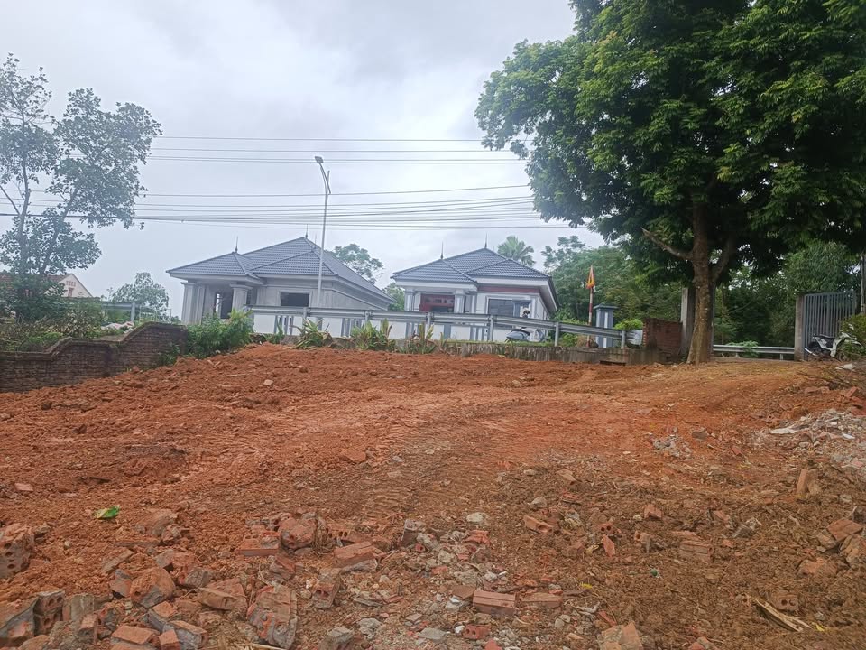 Đất nền chính chủ tại Hy Cương, Việt Trì 350m² giá 3.1 tỷ - Tiềm năng kinh doanh lớn!