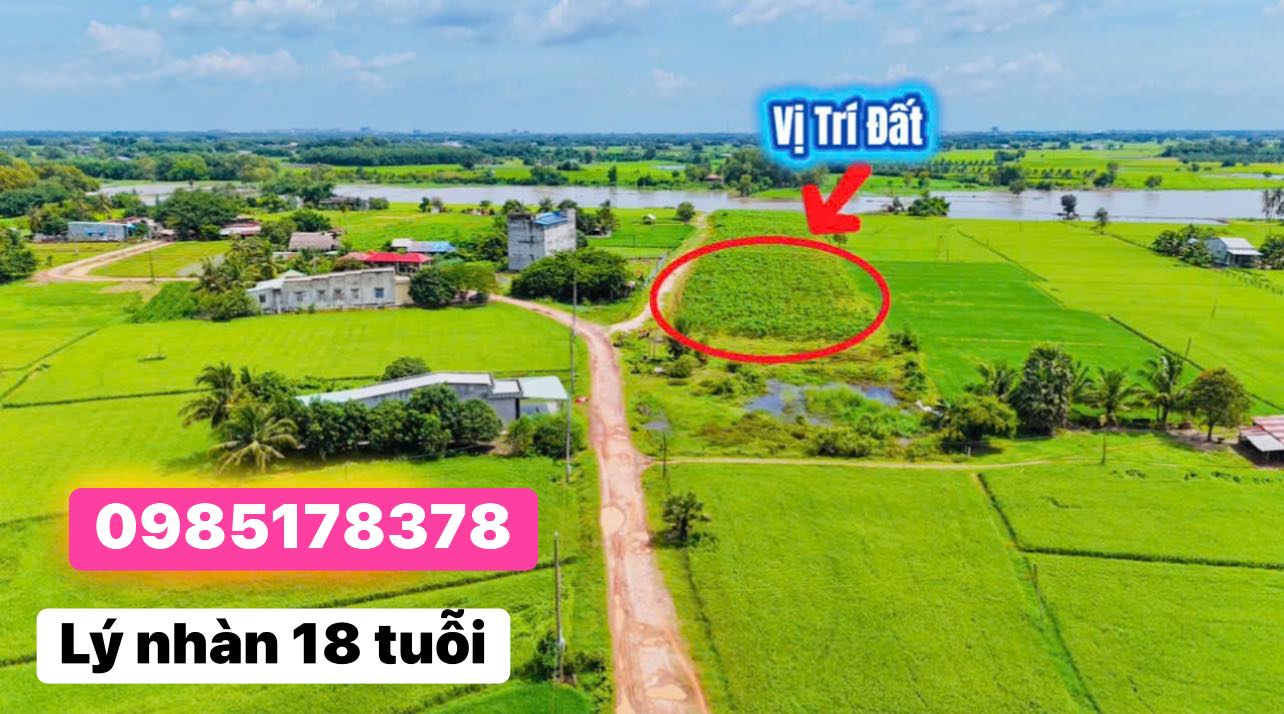 Đất thổ cư 360m² tại Long Khánh, Bến Cầu - Giá chỉ 590 triệu!
