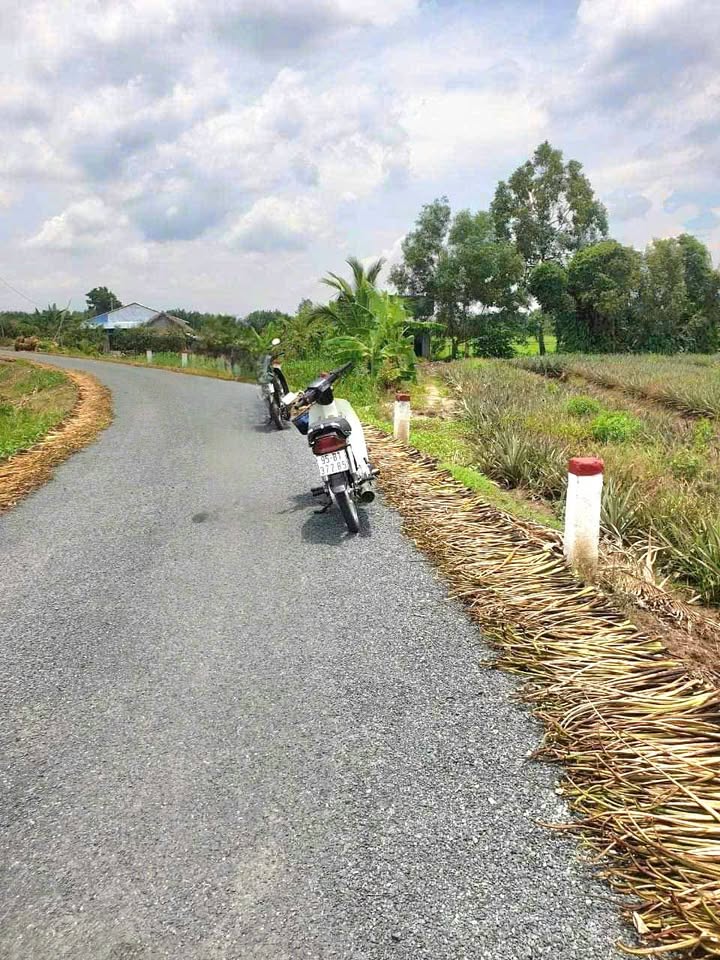 Đất mặt tiền sông Nước Đục 2414m² giá 869.22 triệu - Cơ hội đầu tư sinh lời!