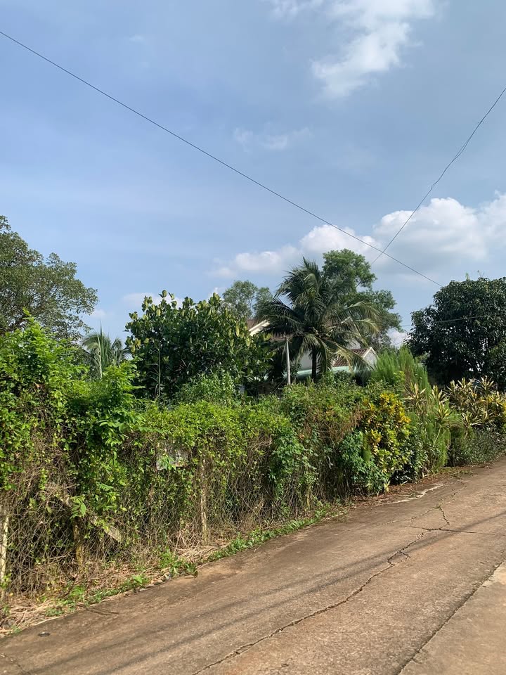 Đất thổ cư 1 sào tại phường Xuân Tân, 1400m² giá 3.1 tỷ - Vị trí đẹp, an ninh tốt!