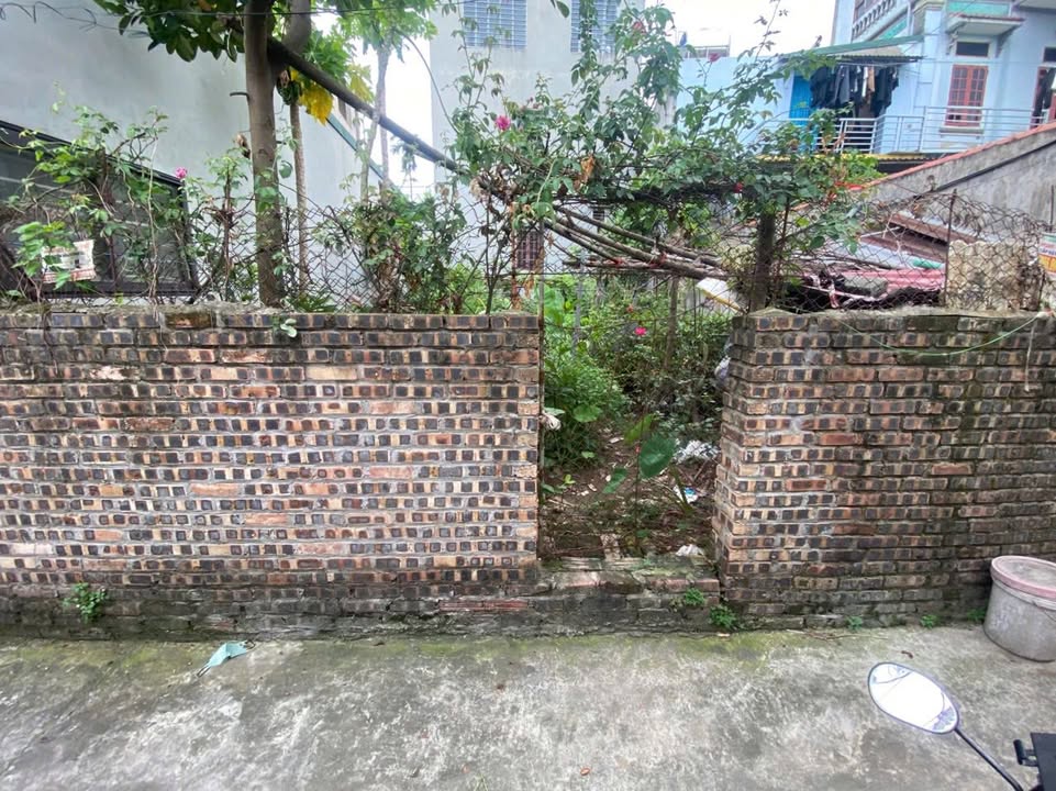 Đất thổ cư Đông Hội, Đông Anh 100m² - Mặt tiền 6m, vị trí vàng đầu tư!