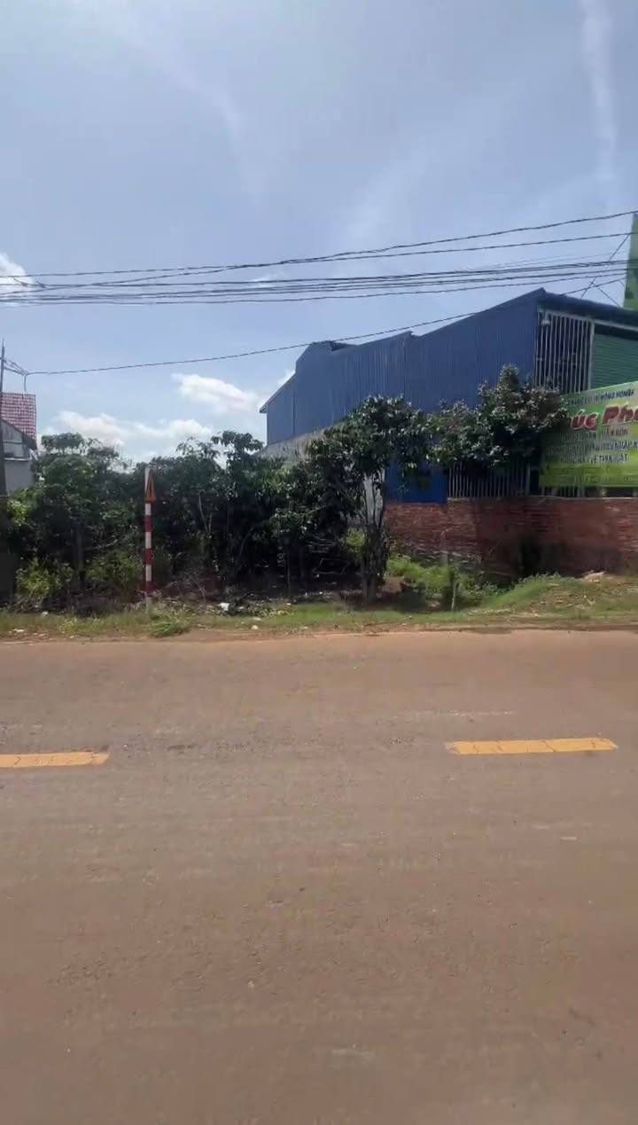 Đất nền đường DH1, xã Tân Hội, Đức Trọng 540m² - Đầu tư sinh lời hấp dẫn!