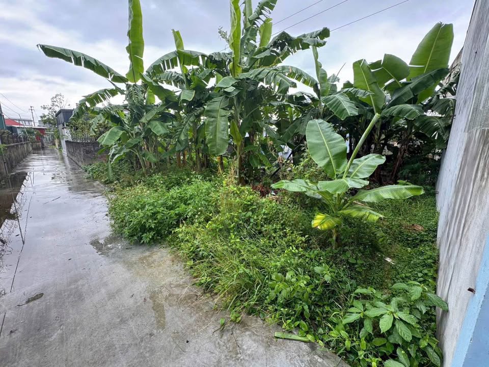 Đất nền An Hưng Hồng Bàng 60m² giá 700 triệu - Đất vuông vắn, tiện ích đầy đủ!