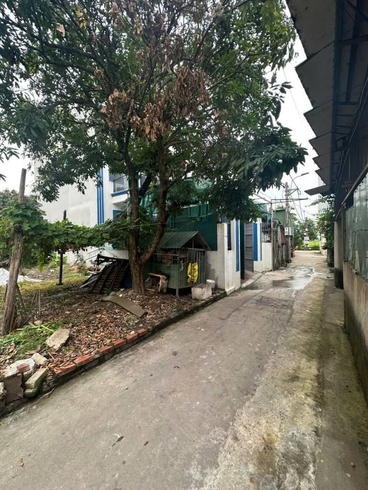 Đất nền Hương Mạc, Từ Sơn 79m² giá 2 tỷ - Mặt tiền ô tô thuận tiện