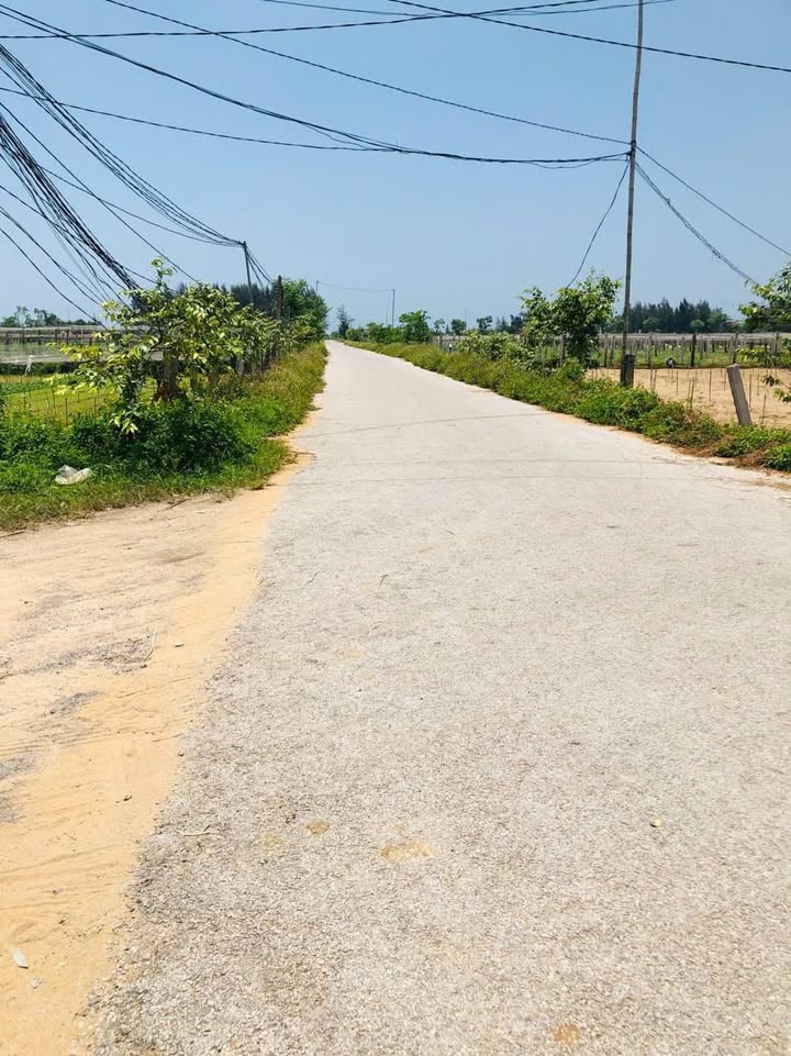 Đất đấu giá Đại Đồng, Hoàng Mai 200m² giá 2.6 tỷ - Sẵn sổ đỏ, sang tên ngay!