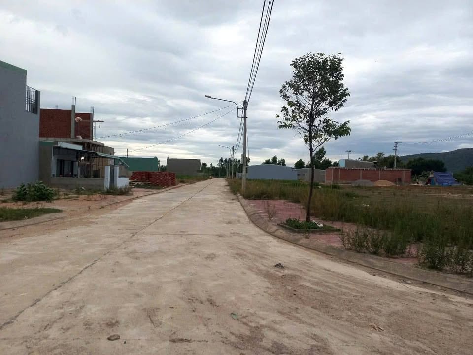 Đất nền Khu A1 Bùi Thị Xuân Quy Nhơn 100m² giá 1.3 tỷ - Cơ hội đầu tư tuyệt vời!