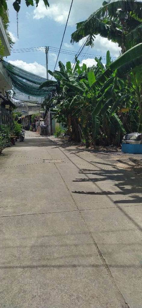 Đất thổ cư 95,5m² tại Bình Tân giá chỉ 5.5 tỷ - Chính chủ bán gấp!