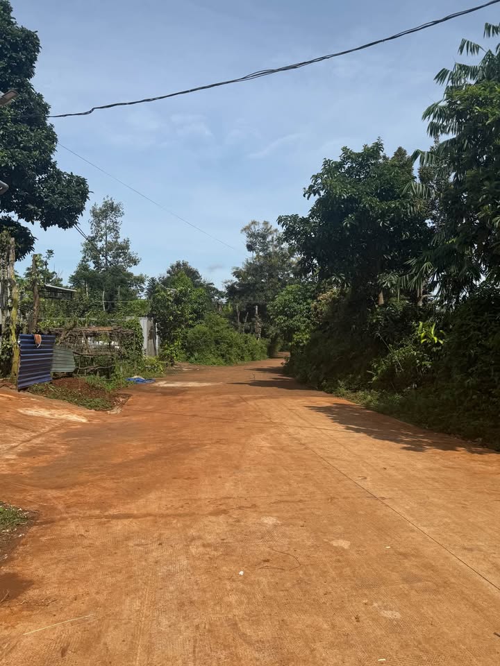 Lô đất chính chủ Cư Suê, Đắk Lắk 150m² giá 1.29 tỷ - Đầu tư sinh lời!