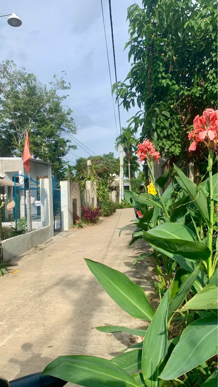 Đất nền 368m² tại xã Nghĩa Điền, Quảng Ngãi - Tiềm năng phát triển lớn!