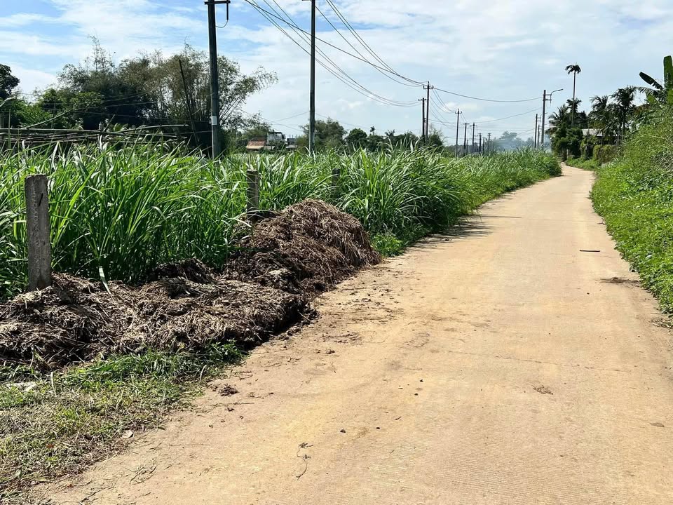 Đất nền Tịnh An 230m² giá chỉ 150 triệu - Cơ hội đầu tư hiếm có!