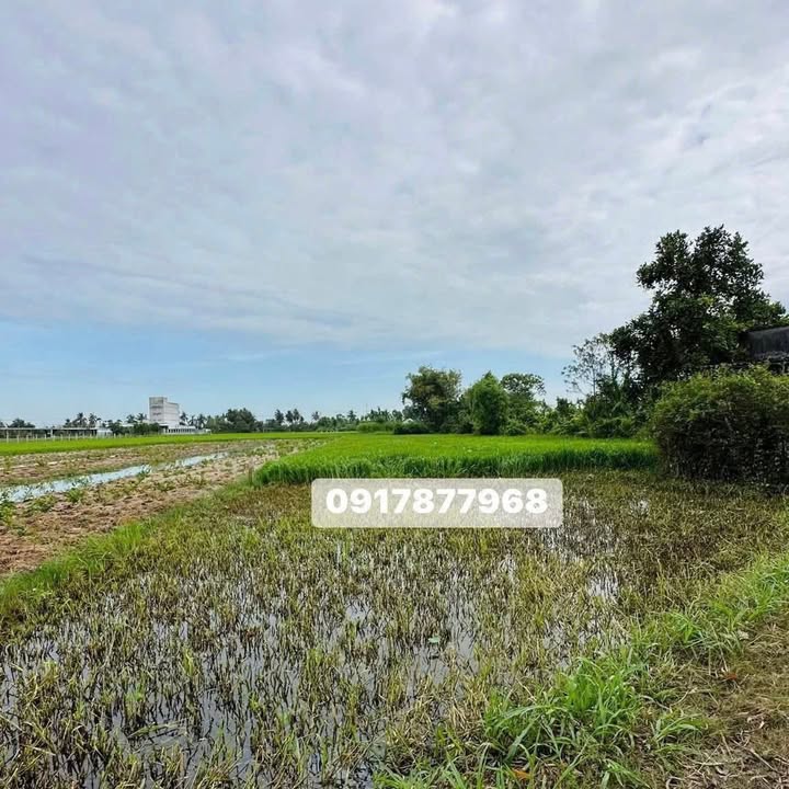 Đất nền khu phố 6, Thị trấn Vĩnh Bình, Gò Công Tây 2314m² giá 930 triệu - View kênh tuyệt đẹp!