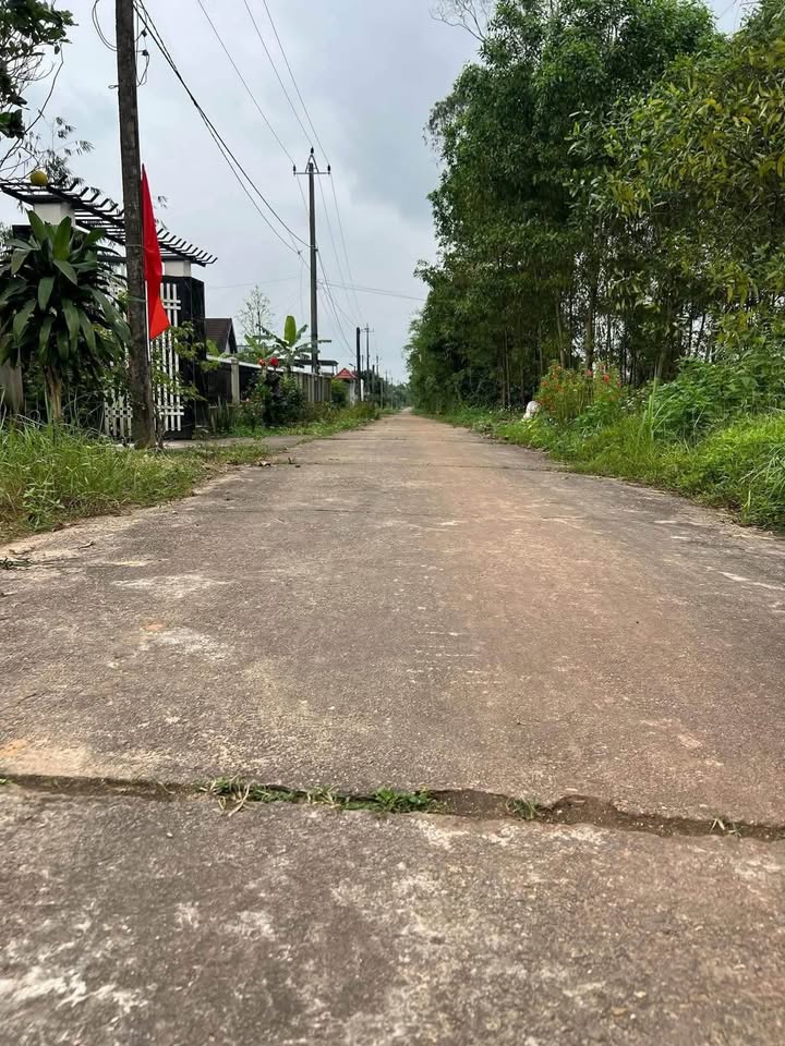 Đất nền Hải Phú 219m² giá thỏa thuận - Gần nhà thờ La Vang!