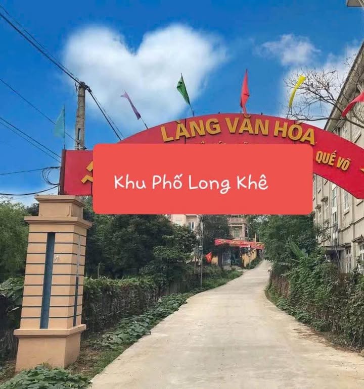 Đất nền khu phố Long Khê, Đào Viên, 92m² chỉ 1 tỷ - Tiềm năng đầu tư lớn!