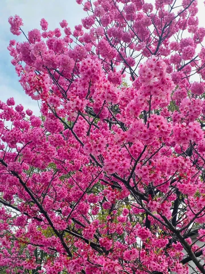 Đất nền Vĩnh Lộc A Bình Chánh 90m² giá 2.5 tỷ - Sổ đỏ chính chủ, thương lượng