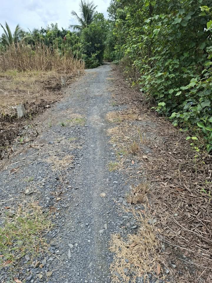 Đất vườn 4000m² xã Lương Hòa, Long An giá 800 triệu - Đầu tư sinh lời ngay!