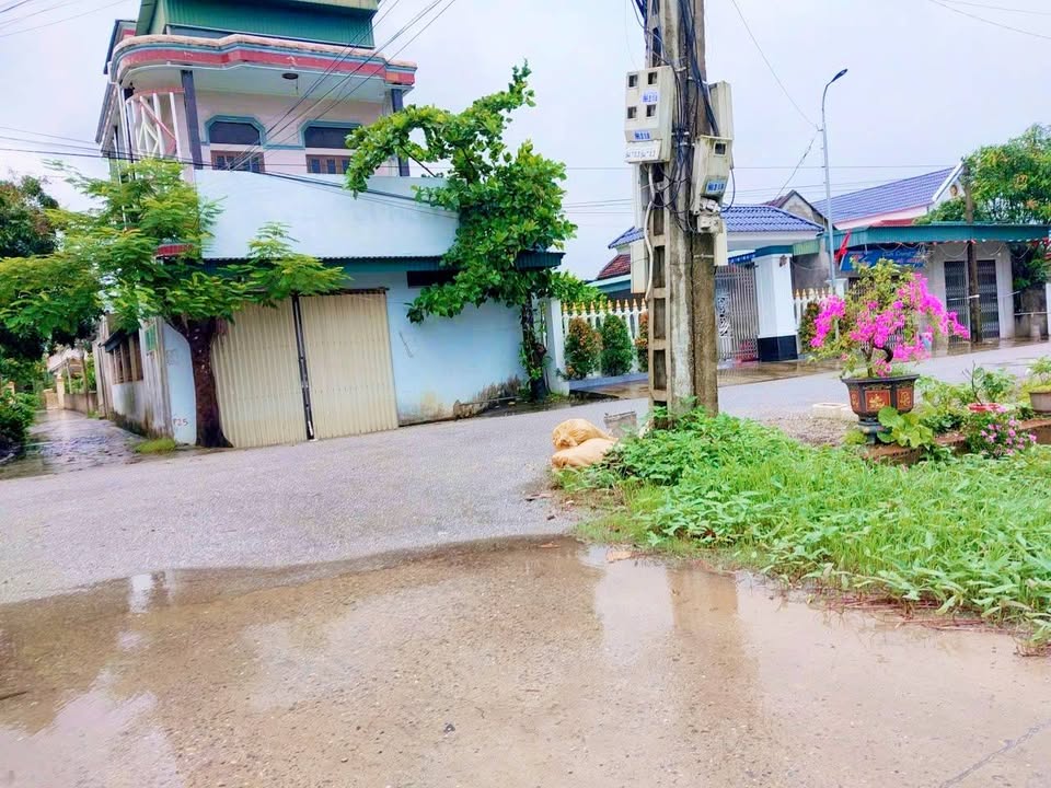 Đất nền đẹp xã Tân Tiến, huyện Nga Sơn, diện tích 175m² - Giá đầu tư hấp dẫn!