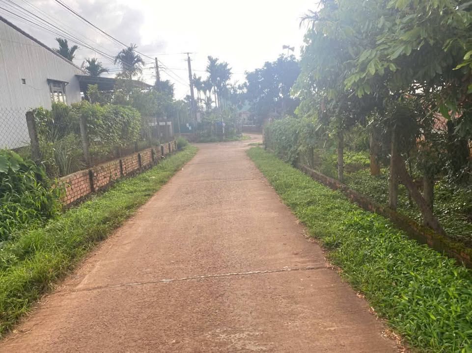 Đất nền 120m² đường Nguyễn Viết Xuân, Buôn Hồ - Giá chỉ 1.55 tỷ VND!