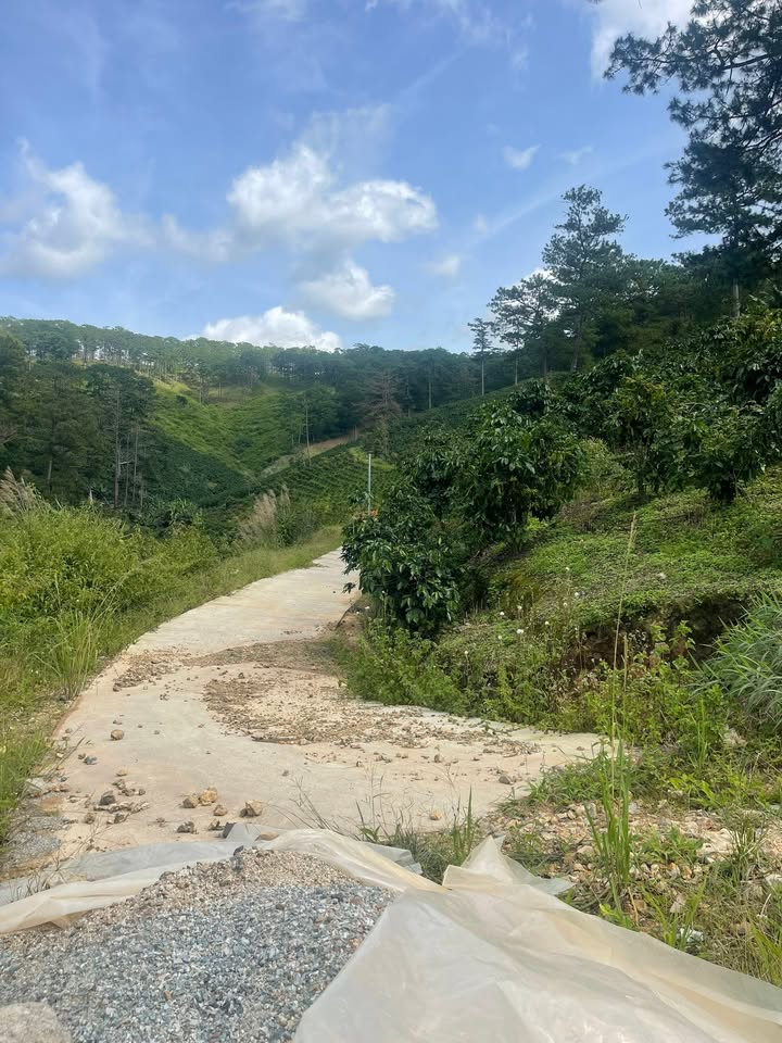 Đất nền 2500m² phường Xuân Trường Đà Lạt giá 1.5 tỷ - Sổ đỏ chính chủ, đường ô tô