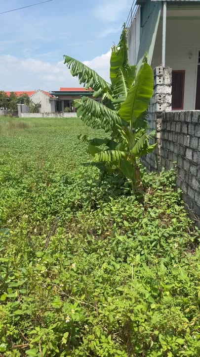 Đất lô góc 2 mặt tiền Quỳnh Nghĩa 760m² giá thỏa thuận - Cơ hội đầu tư tuyệt vời!