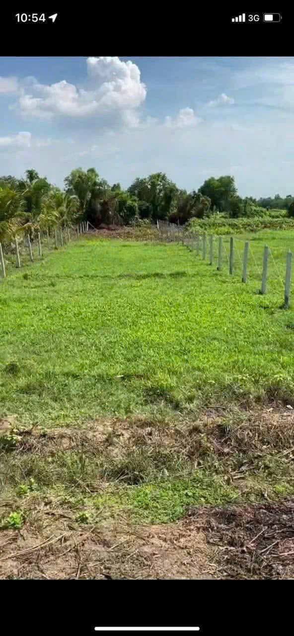 Đất nền đẹp xã Thái Mỹ, Củ Chi 600m² giá 1.99 tỷ - Đầu tư sinh lời ngay!