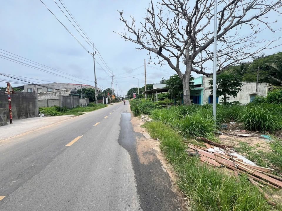 Đất nền 1500m² đường Âu Cơ, Tiến Lợi, Phan Thiết giá 7.5 tỷ - Đầu tư sinh lời ngay!