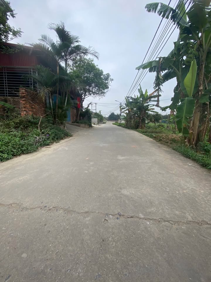 Đất thổ cư 150m² Vân Gia, Sơn Tây, Hà Nội - Giá chỉ 2 tỷ, vị trí đẹp gần chợ!