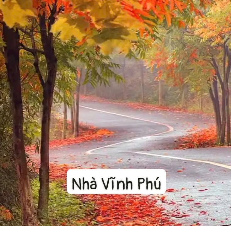 Nhà 2 tầng đường Vĩnh Phú, 78m² giá 4.15 tỷ - Sẵn sàng vào ở!