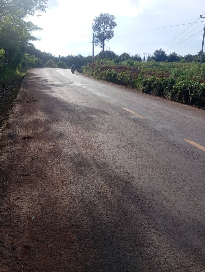 Đất thổ cư mặt đường Quốc lộ 19D, Chư Păh 750m² giá 650 triệu - Cơ hội đầu tư hấp dẫn!