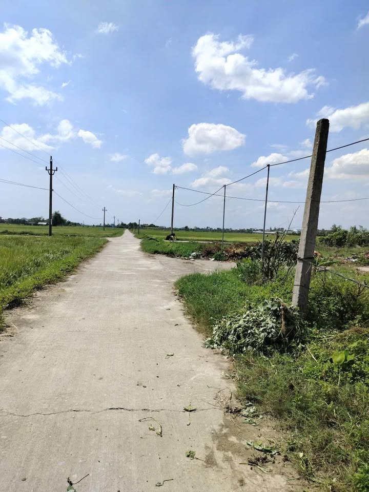 Đất nền Thôn Cộng Hòa, Minh Hòa, Hưng Hà 158m² giá 1.2 tỷ - Cơ hội đầu tư tuyệt vời!